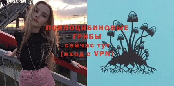 герыч Вяземский