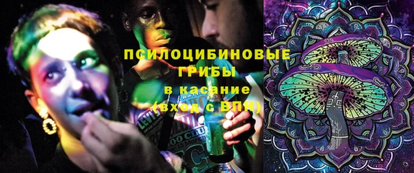 герыч Вяземский
