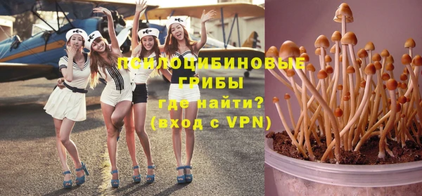 герыч Вяземский