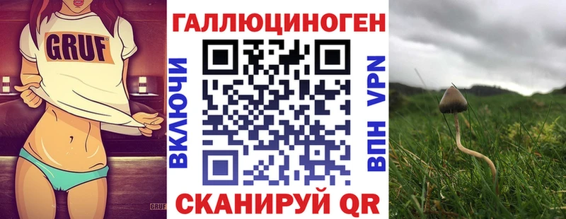 Галлюциногенные грибы Magic Shrooms  Мещовск 